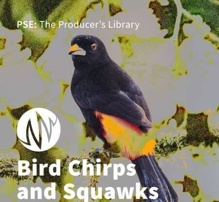 PSE: The Producer's Library Bird Chirps and Squawks WAV